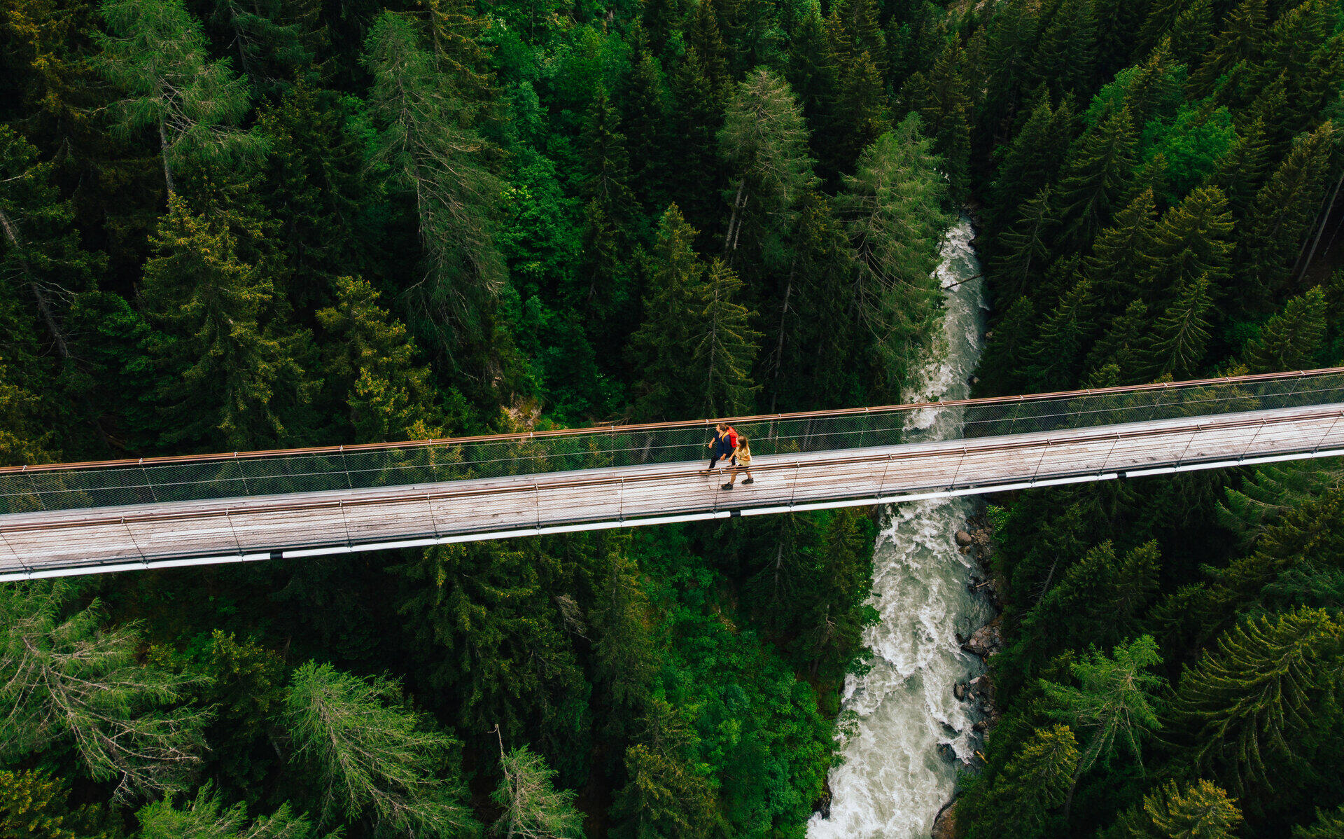 Person &uuml;berquert eine H&auml;ngebr&uuml;cke &uuml;ber eine bewaldete Schlucht