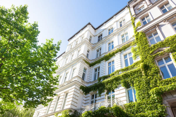 Wei&szlig;e Altbaufassade, teils mit gr&uuml;nem Efeu bewachsen, mit Baum im Vordergrund
