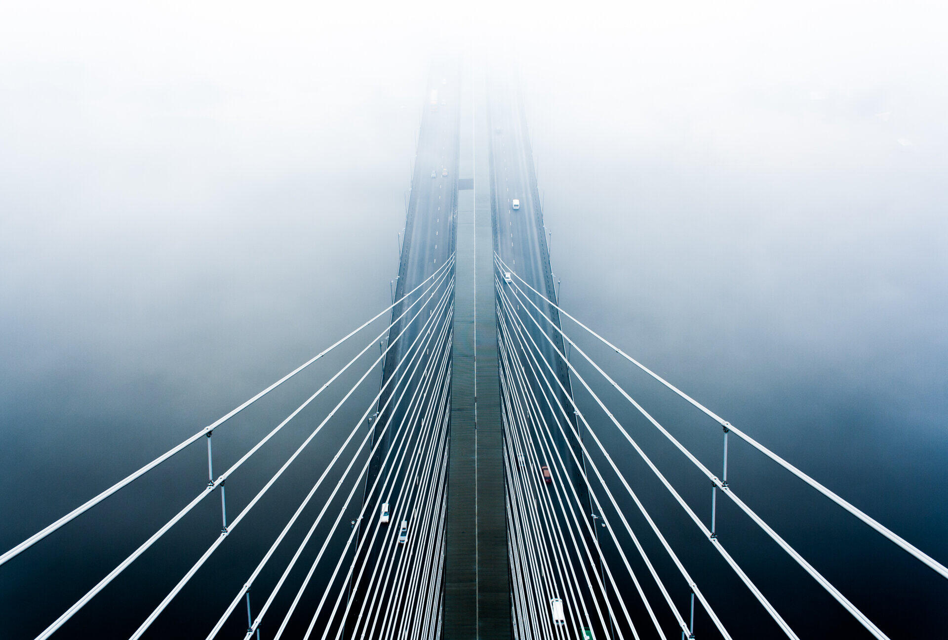 Die Stahlseile einer H&auml;ngebr&uuml;cke verschwinden im dichten Nebel