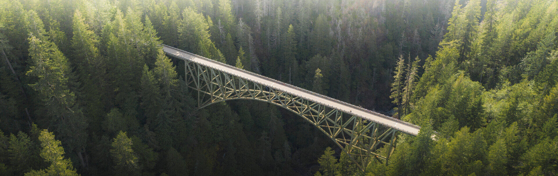 Stahlbr&uuml;cke &uuml;berspannt eine bewaldete Schlucht im Morgennebel