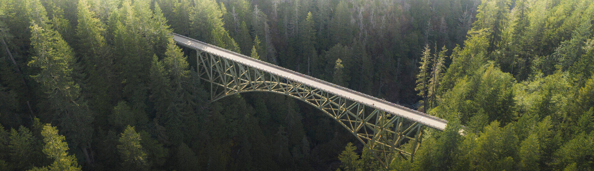 St&auml;hlerne Bogenbr&uuml;cke &uuml;berspannt eine bewaldete Schlucht im Morgennebel