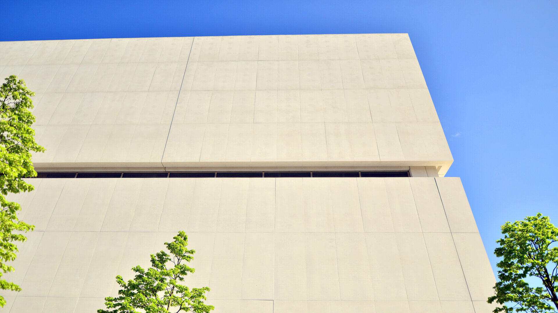 Helle Betonfassade eines modernen B&uuml;rogeb&auml;udes vor blauem Himmel, gerahmt von gr&uuml;nen Zweigen