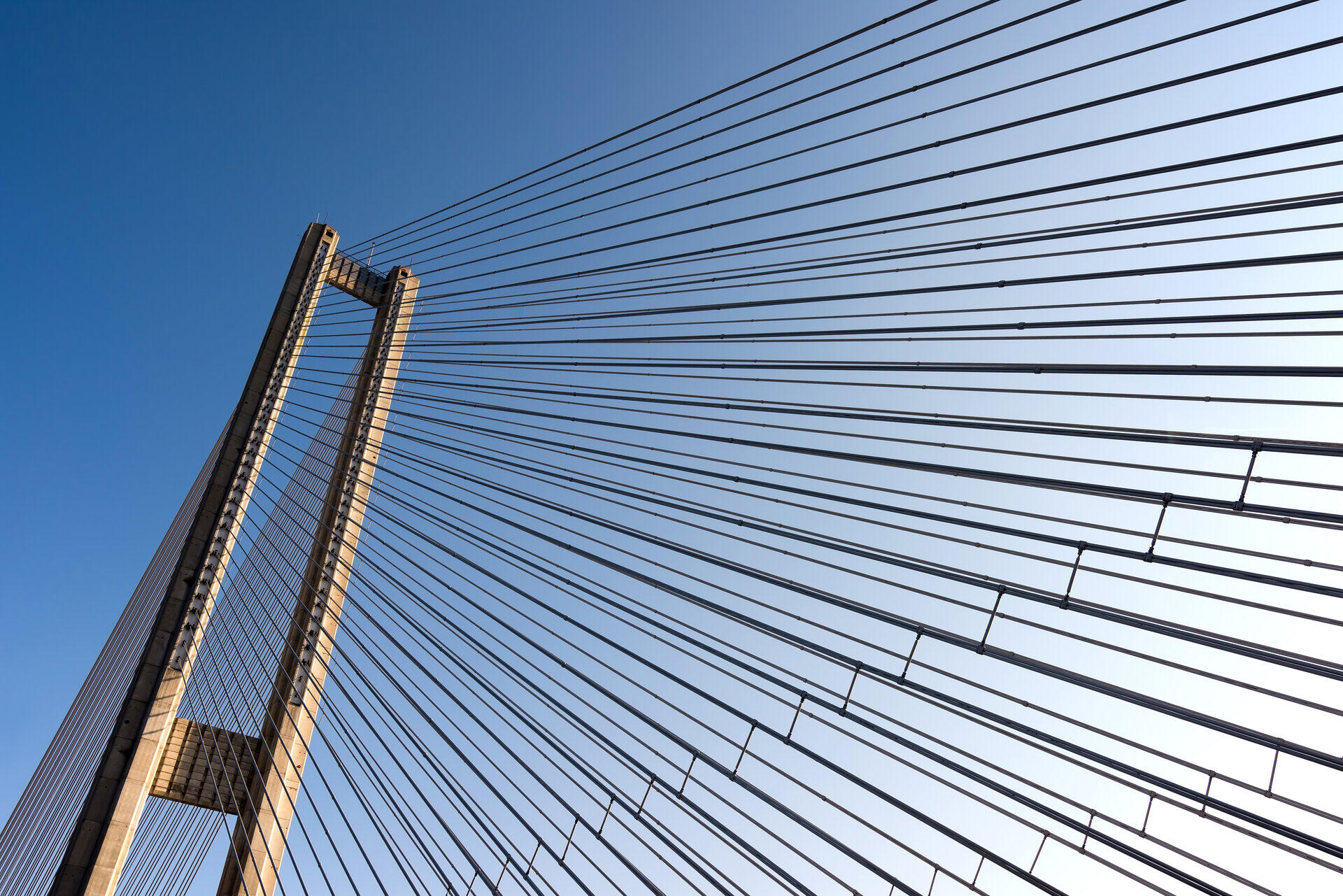 Untersicht eines Pylons einer Schr&auml;gseilbr&uuml;cke mit f&auml;cherf&ouml;rmig gespannten Seilen